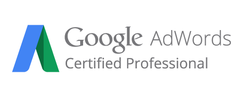 Profissional certificado Google